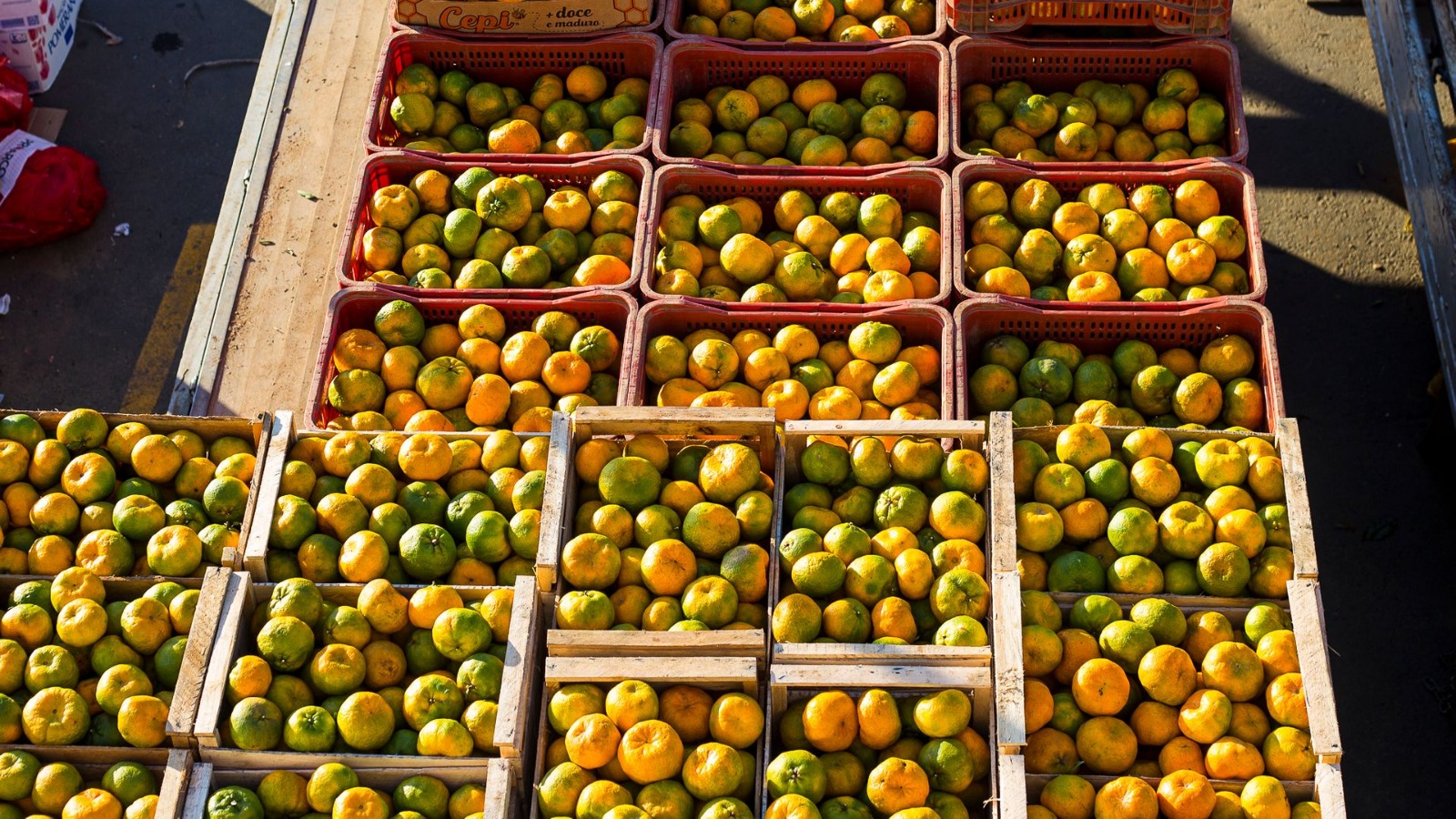 WhatsApp Image 2026-03-18 at 09.17.44