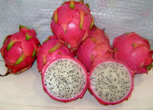 CEASA-ES - Fruta exótica: Conheça a Pitaya