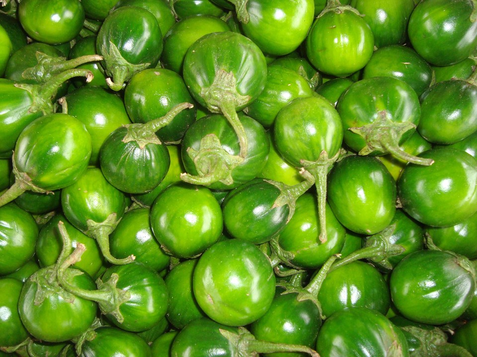 CEASA-ES - Jiló: o vegetal rico em benefícios para a saúde
