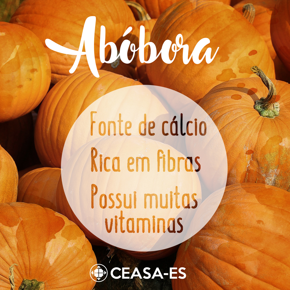 Abóbora-Ceasa - cálcio2c fibras e vitaminas